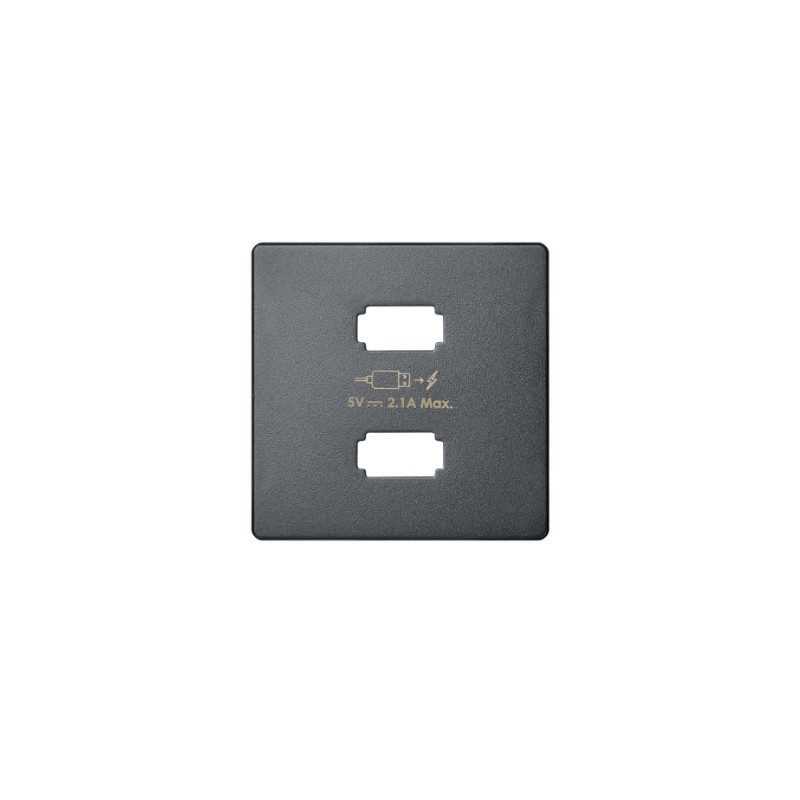 imagen Placa para cargador USB 2 conectores 5Vdc 2.1A tipo A titanio simón 82