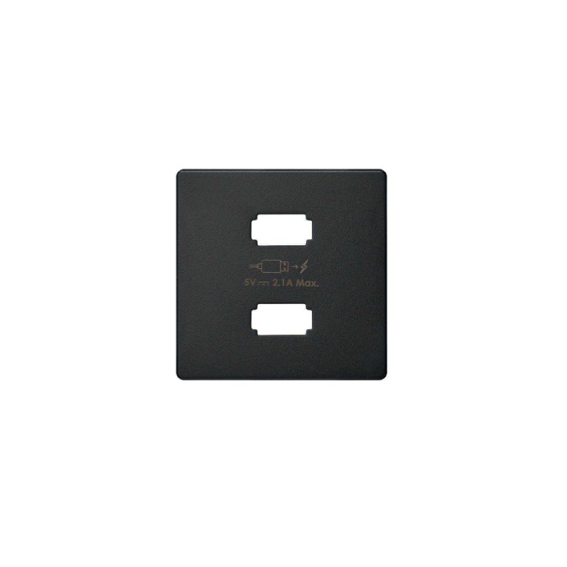 imagen Placa para cargador USB 2 conectores 5Vdc 2.1A tipo A negro mate simón 82