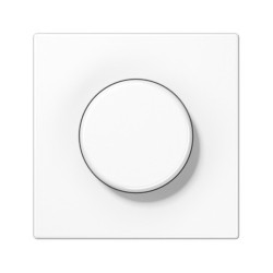 Placa central con botón