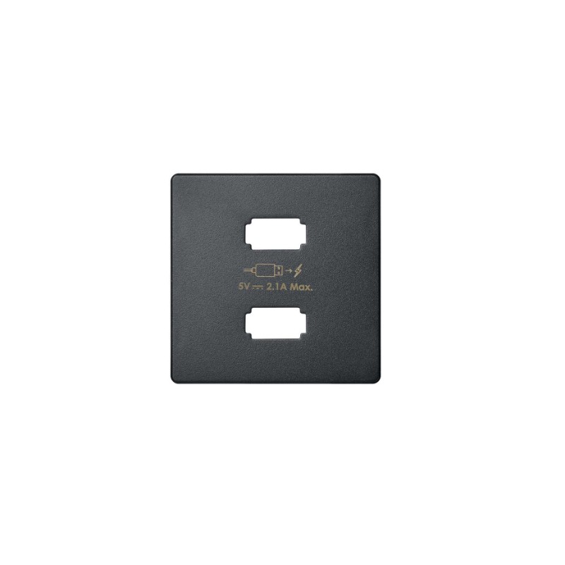 imagen Placa para cargador USB 2 conectores 5Vdc 2.1A tipo A grafito simón 82