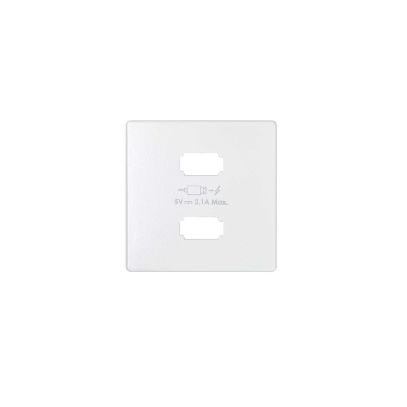 imagen Placa para cargador USB 2 conectores 5Vdc 2.1A tipo A blanco mate simón 82